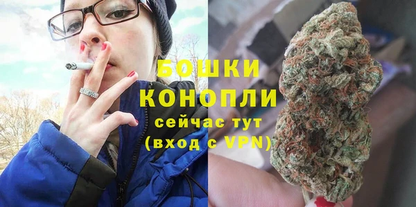 мдма Дмитриев